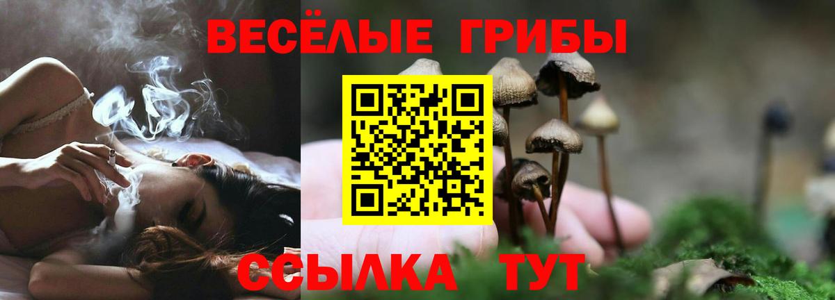 Коммунар  Псилоцибиновые грибы Magic Shrooms  Вход с VPN 